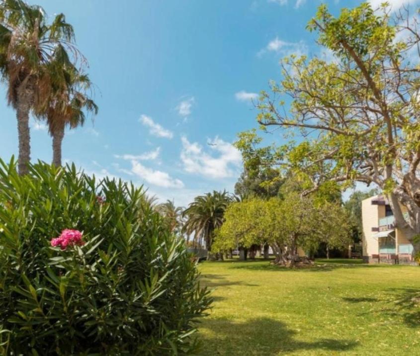 Galeria De Arte. Apartment Arona  Ngoại thất bức ảnh